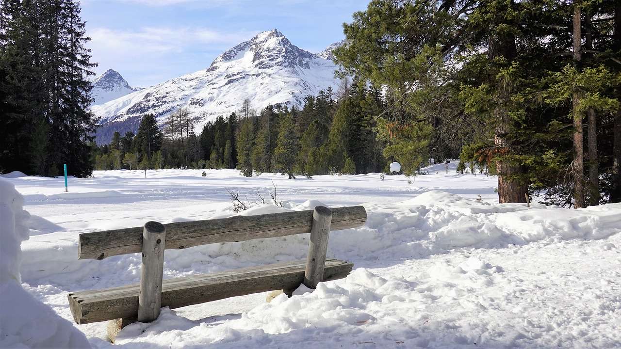 Sentier de randonnée d'hiver puzzle en ligne