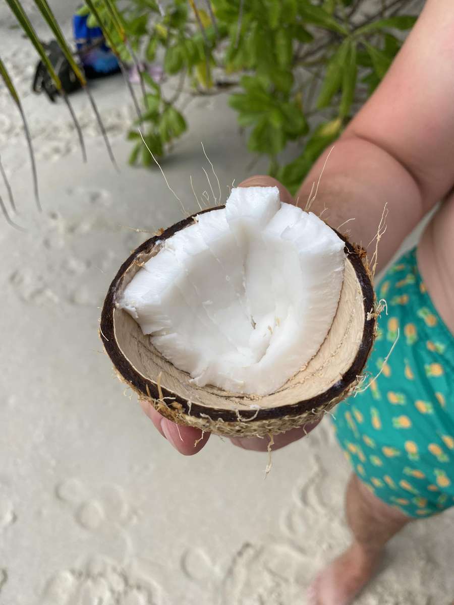 Kokos na Seychelách online puzzle