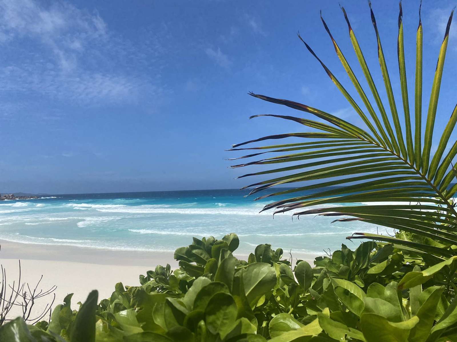 Playa en la isla de La Digue- Seychelles rompecabezas en línea
