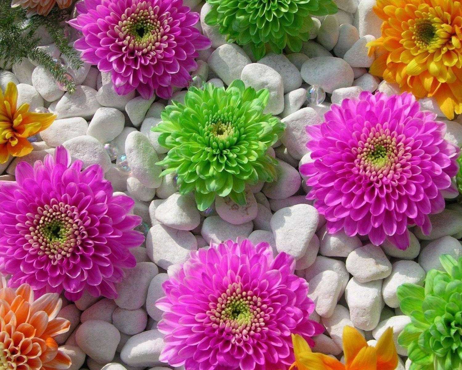 farbenfrohe Blumen Puzzlespiel online