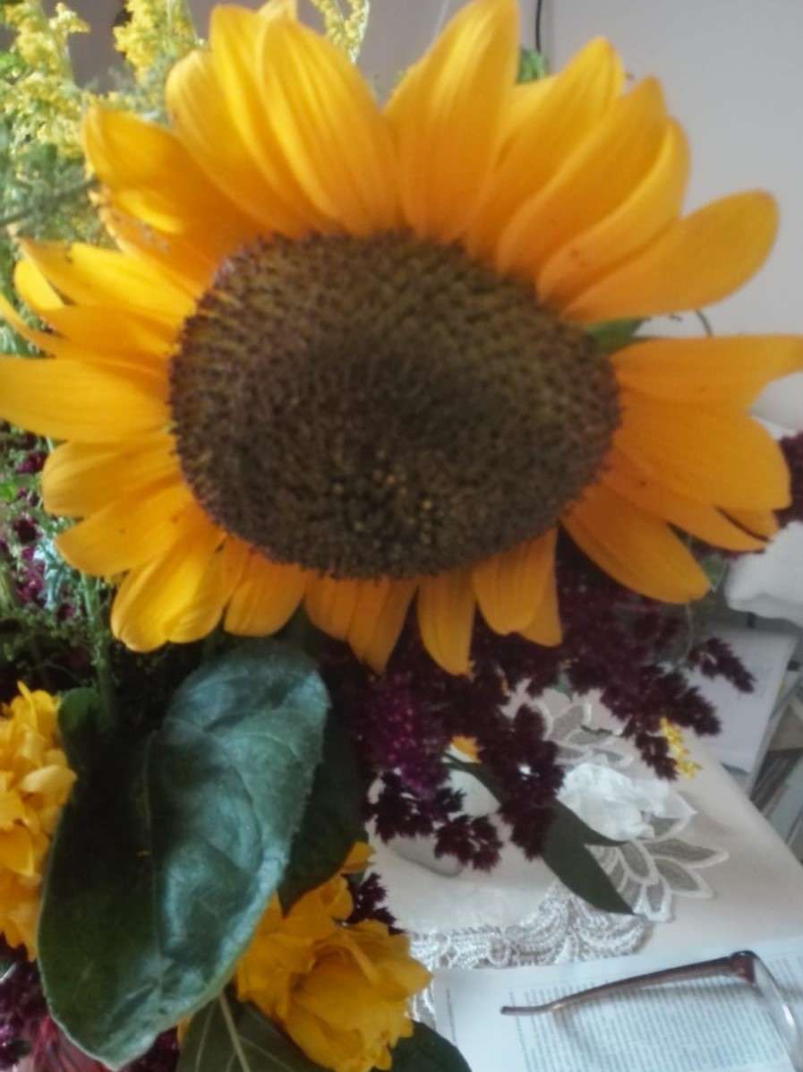 dekorative Sonnenblume aus nächster Nähe Online-Puzzle