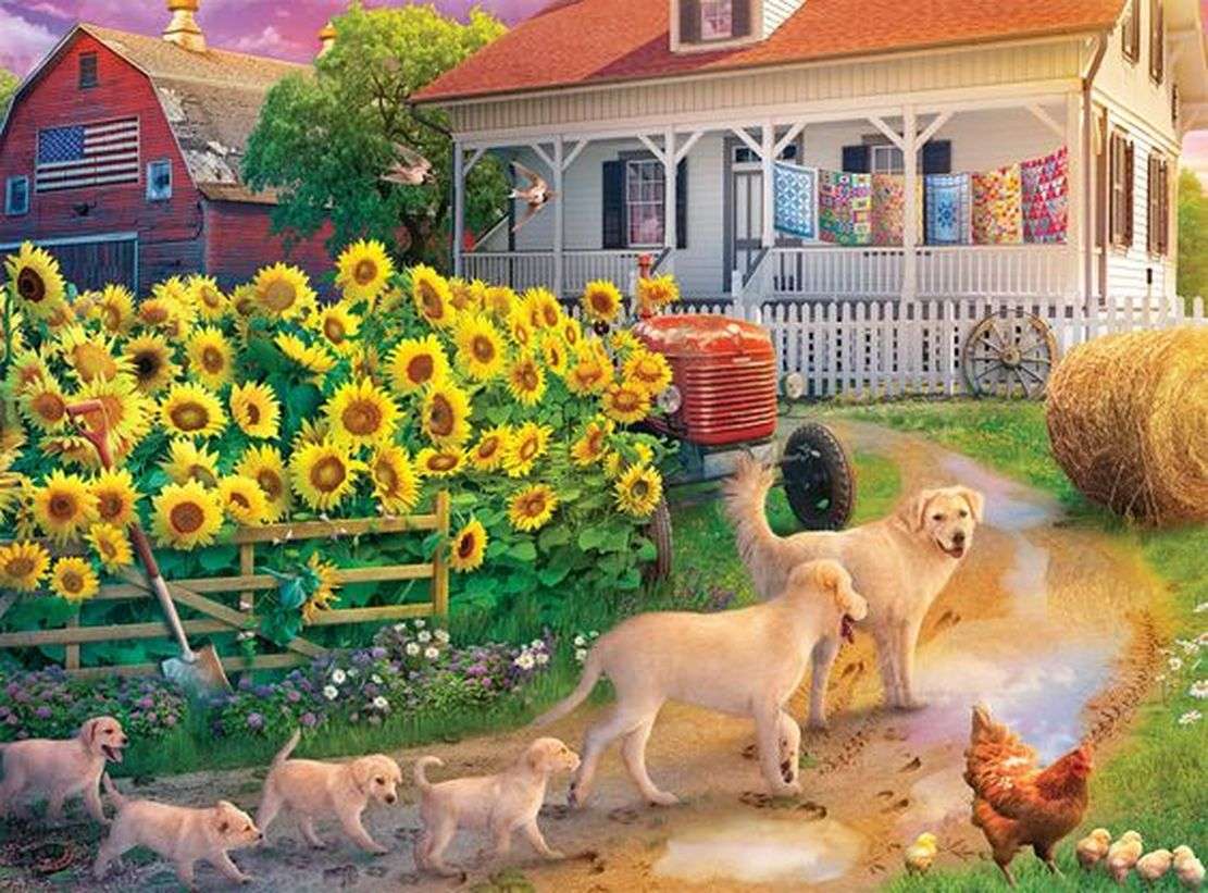 Sunflower and Dogs online puzzle