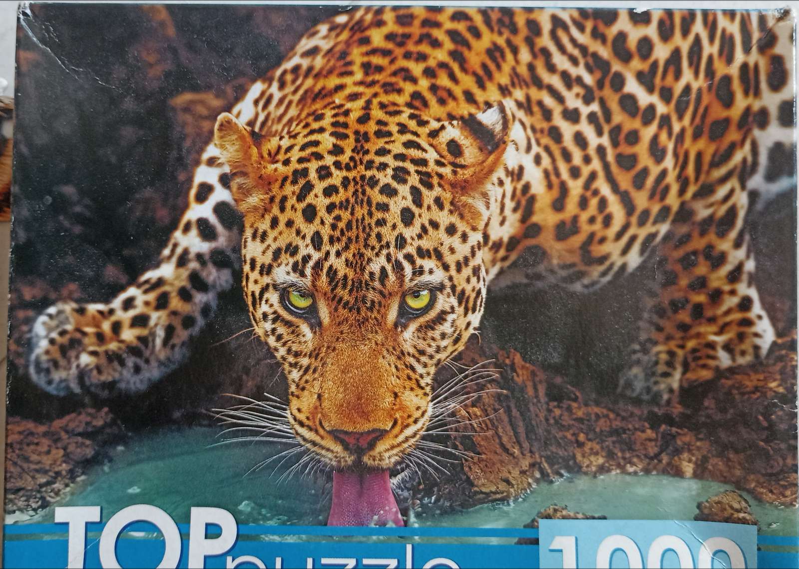bellissimo leopardo puzzle online