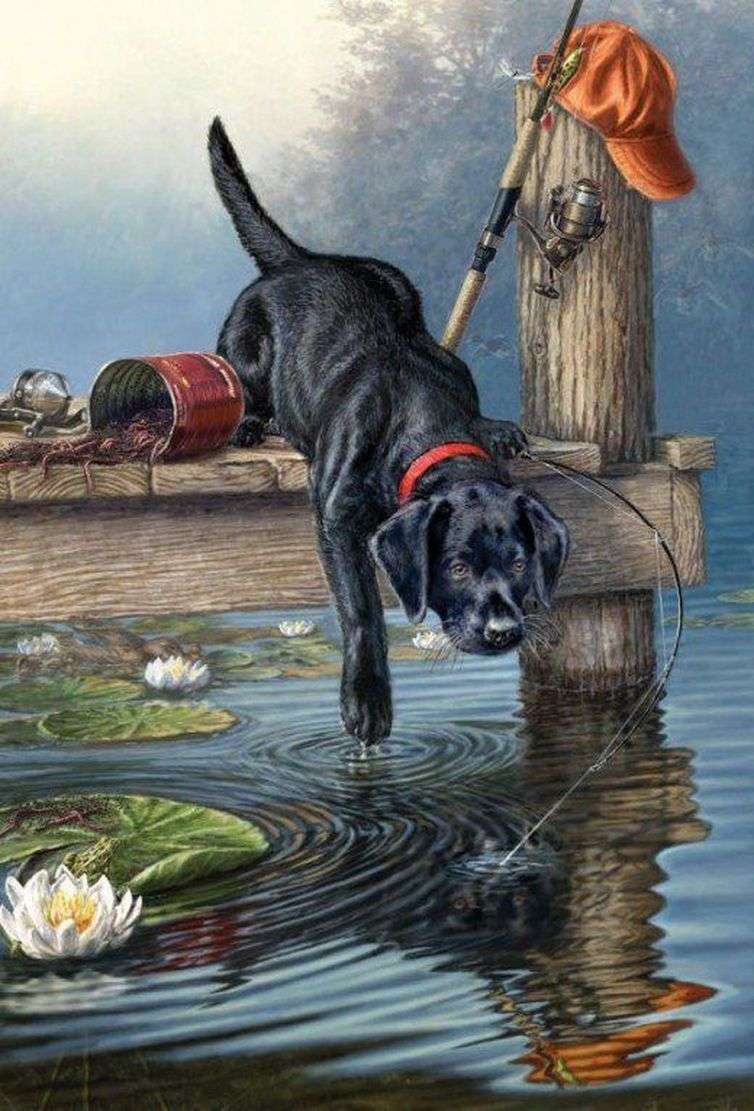 cão de pesca puzzle online