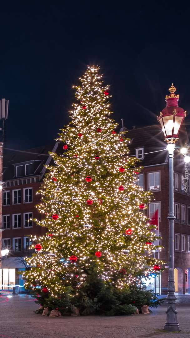 lanterna pela árvore de natal iluminada quebra-cabeças online