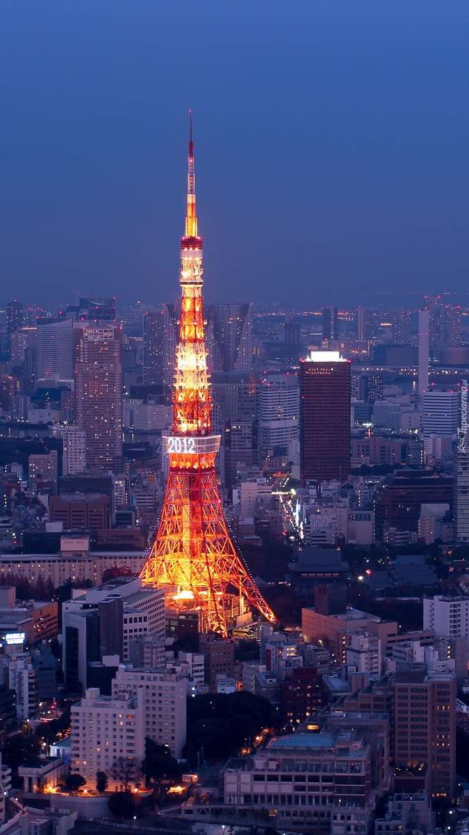 Tokyo på natten pussel på nätet