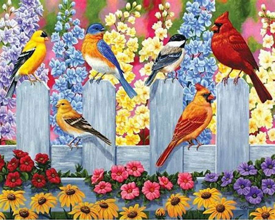 Picture with colorful birds online puzzle