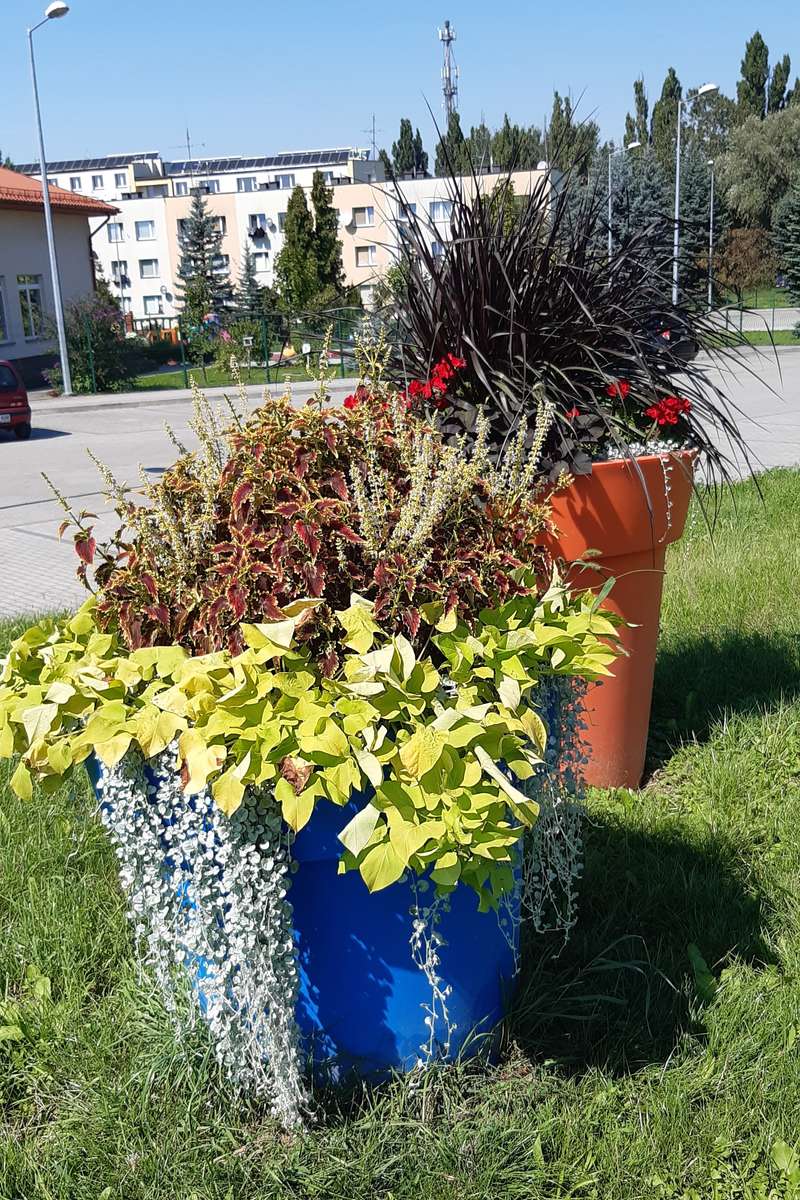 enorme potten met bloemen online puzzel