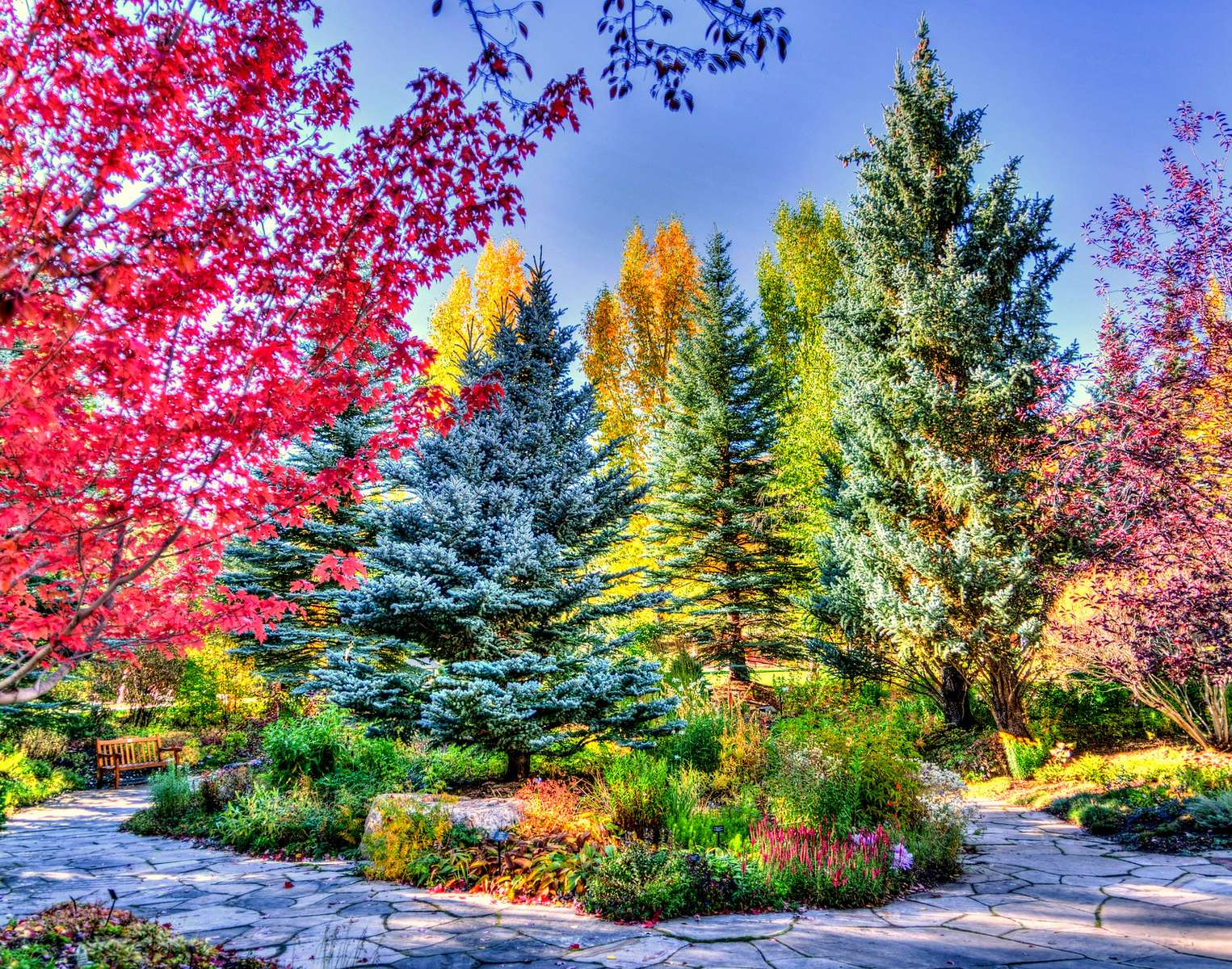 Park in Colorado – der Anfang des Herbstes Online-Puzzle