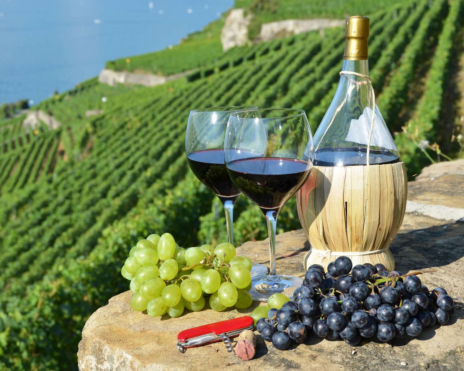 Κρασί από αμπελώνες στις Άλπεις και την περιοχή της Αδριατικής παζλ online
