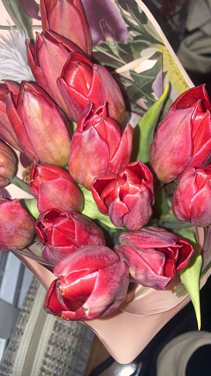 květ tulipánu skládačky online