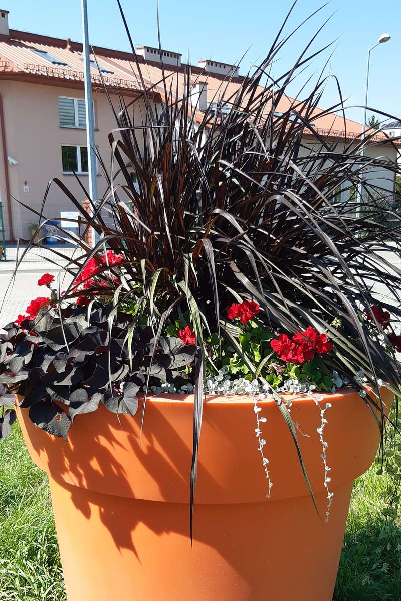 um enorme vaso de flores na propriedade quebra-cabeças online