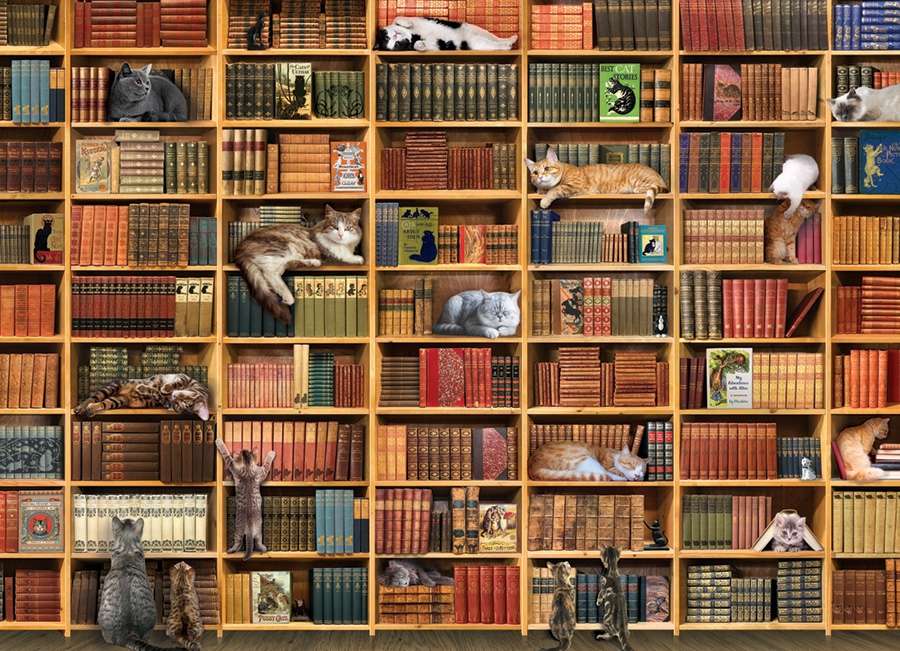 кошачья библиотека пазл онлайн
