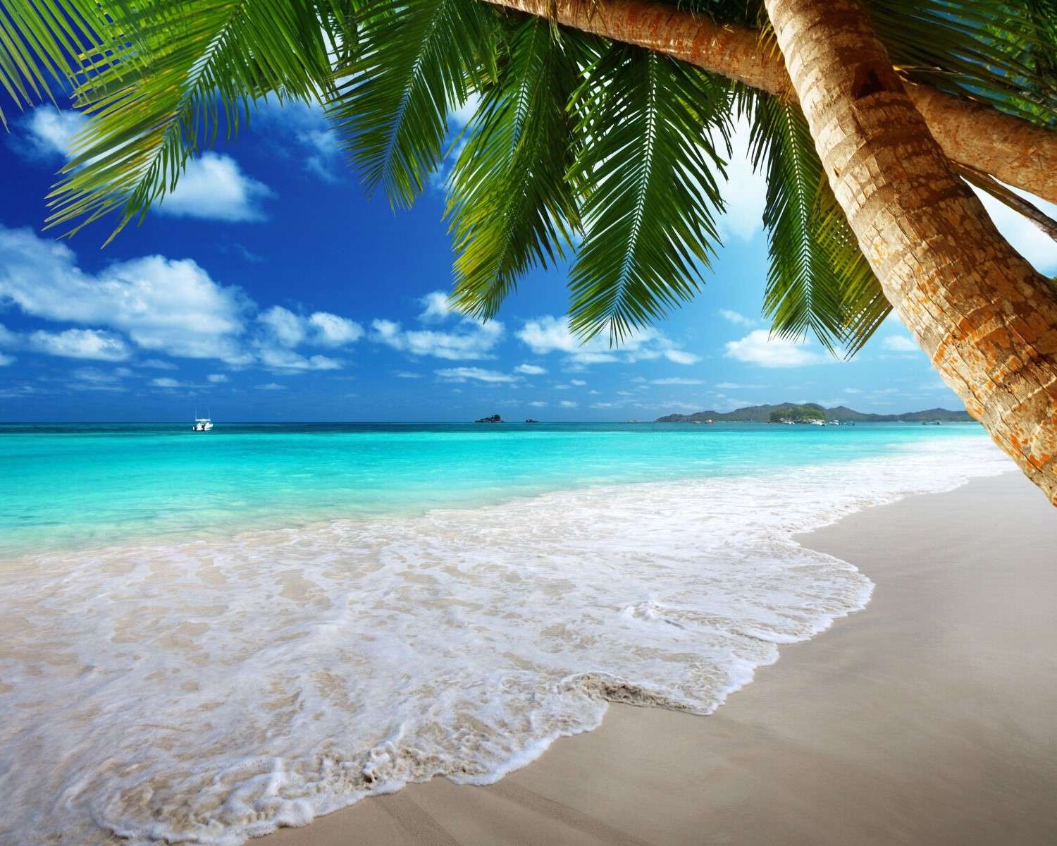 Песчаный пляж в тропиках пазл онлайн
