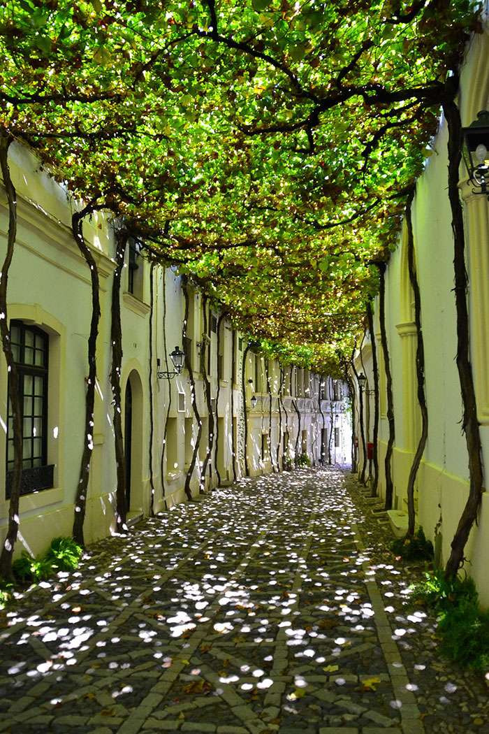Alley of the blind Sherry of the border Cadiz jigsaw puzzle online