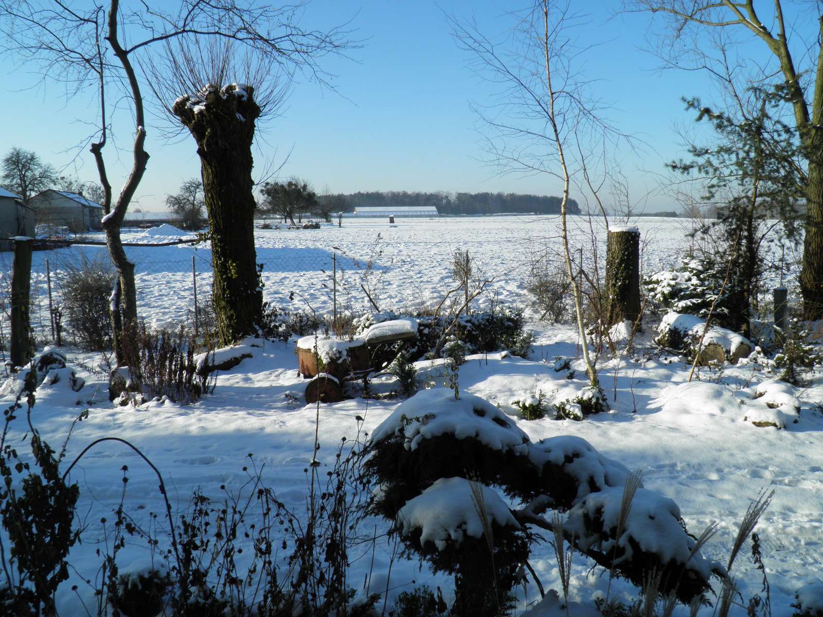 view of the winter field online puzzle