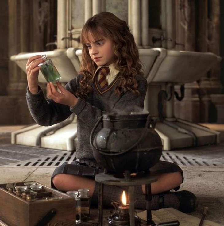 Hermione Granger Pussel online