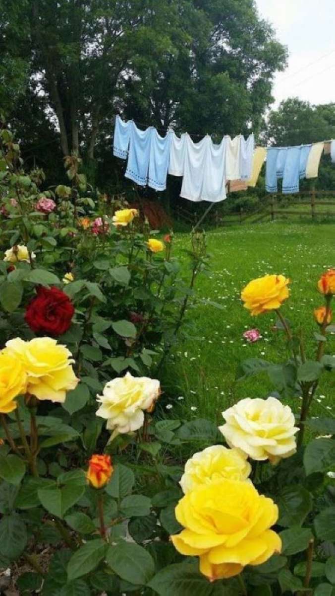 庭の電線に洗濯物がかかっている ジグソーパズルオンライン