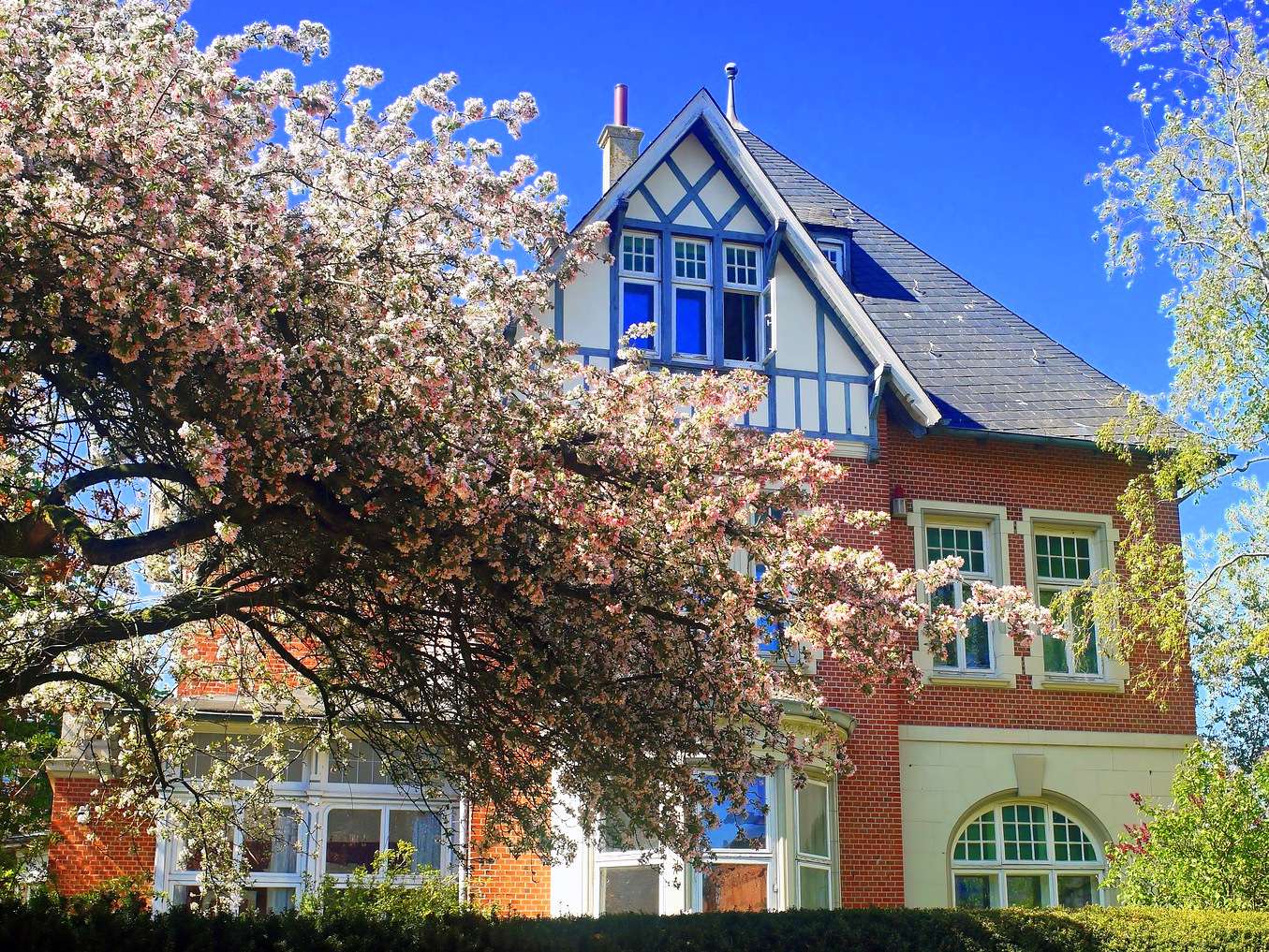 Vila u kvetoucího stromu (Ostfriesland) skládačky online