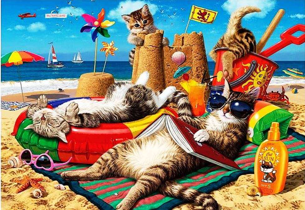 Кошки на пляже онлайн-пазл
