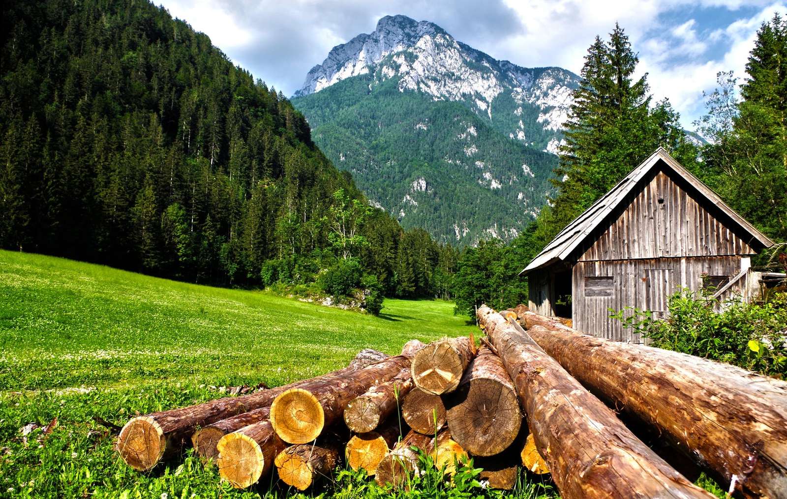 lots of wood at the hut jigsaw puzzle online