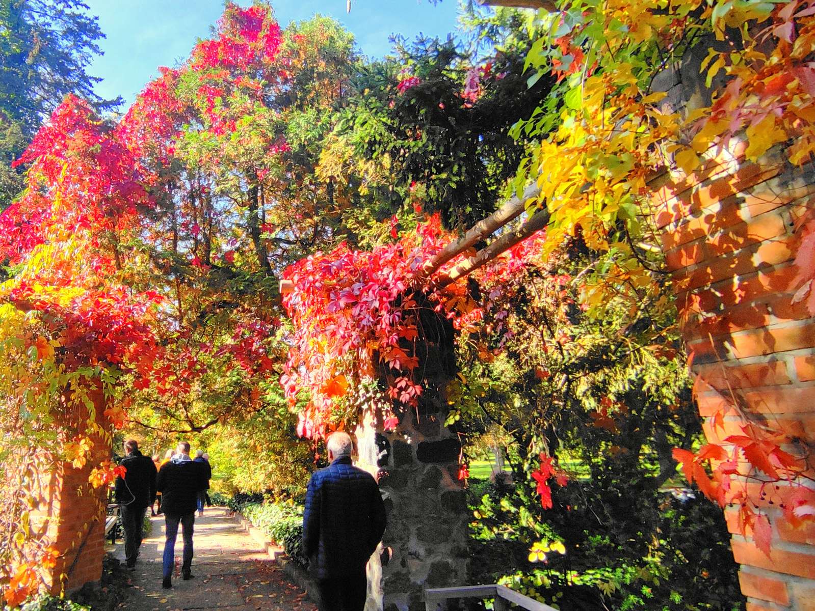 ジェラゾヴァ・ヴォラの公園で秋の散歩 ジグソーパズルオンライン