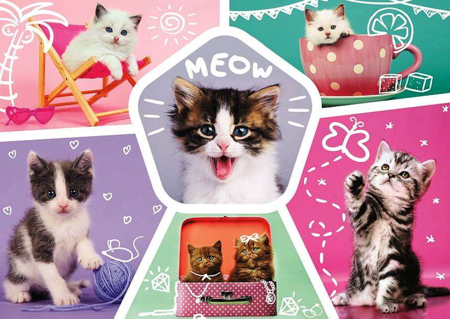 collage de chatons puzzle en ligne