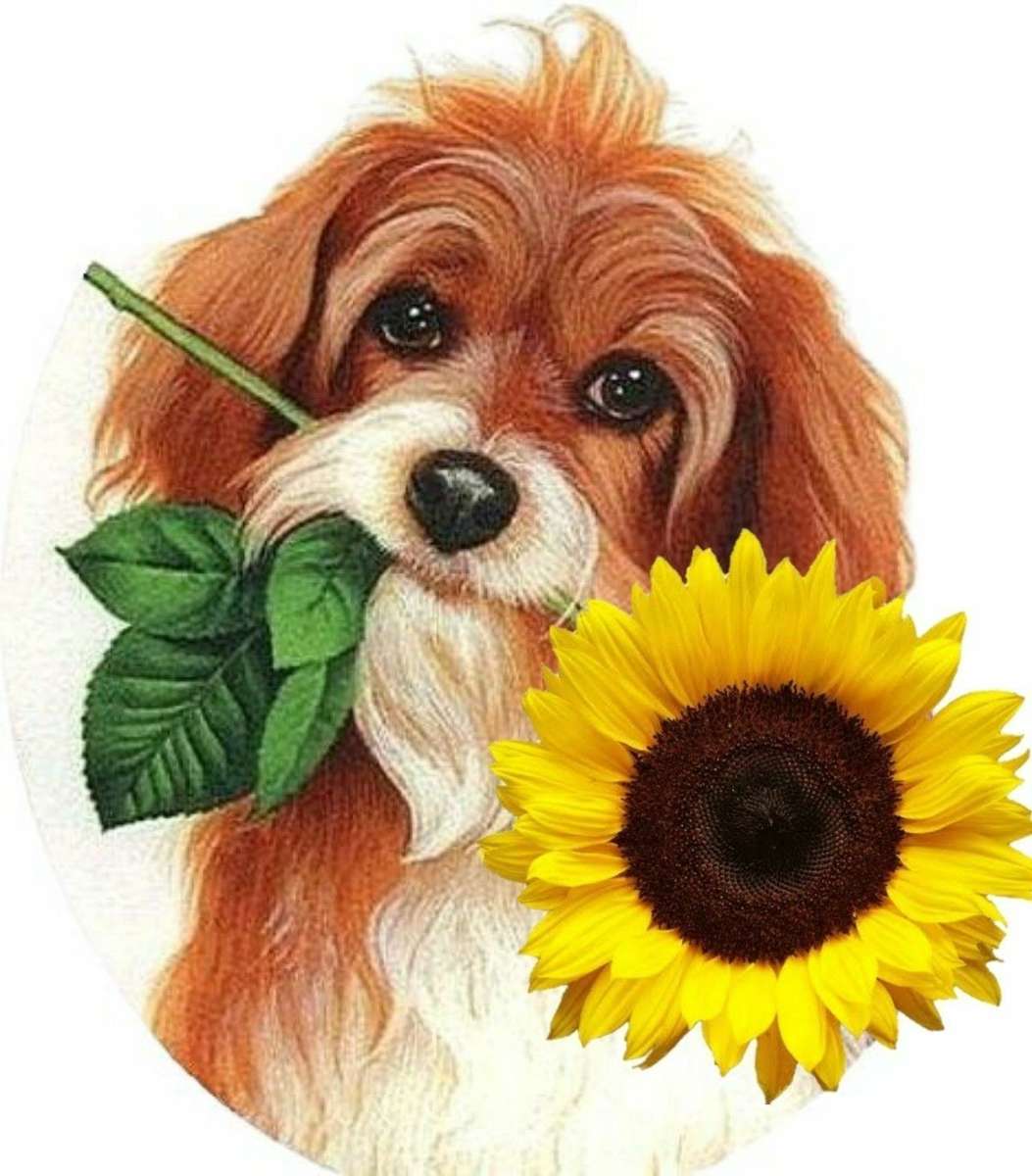 Кученце със слънчоглед онлайн пъзел