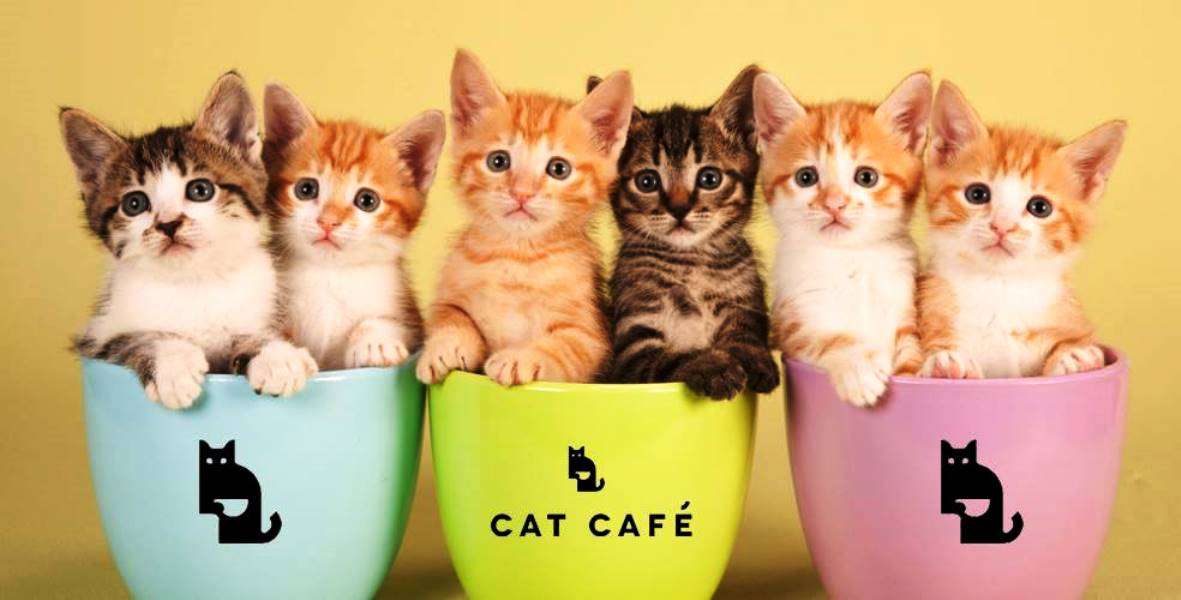 кошачье кафе пазл онлайн