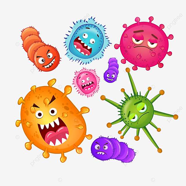 Virus och bakterier Pussel online