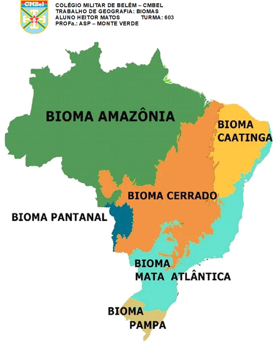 біоми Бразилії пазл онлайн