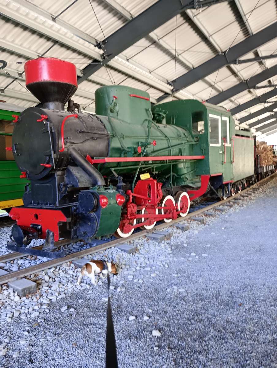 Locomotive à vapeur puzzle en ligne