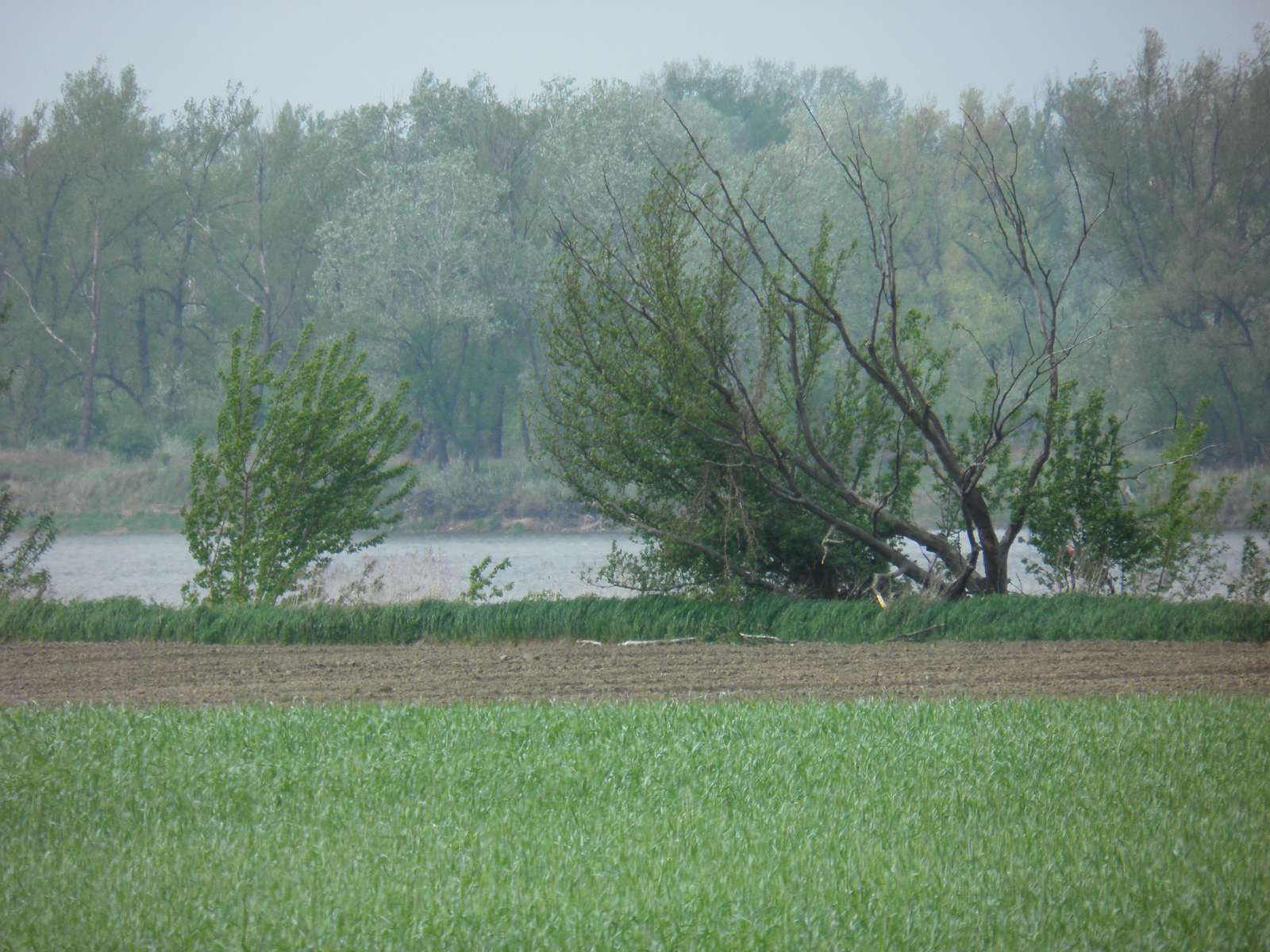 oxbow sjön vid floden Vistula pussel på nätet