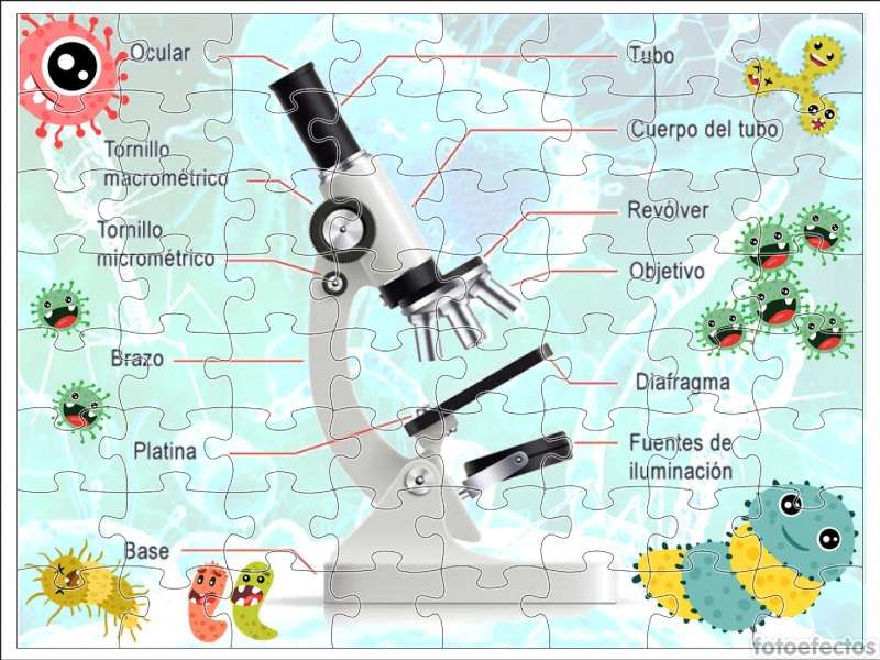 microscop jigsaw puzzle online