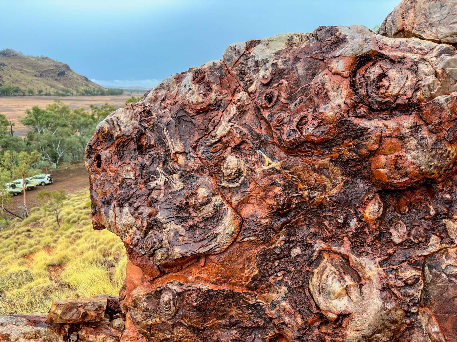 Stromatolites puzzle en ligne
