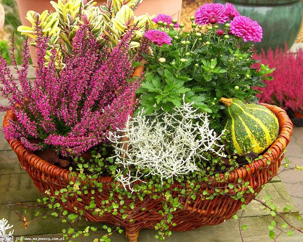 Осенние цветы в корзине онлайн-пазл