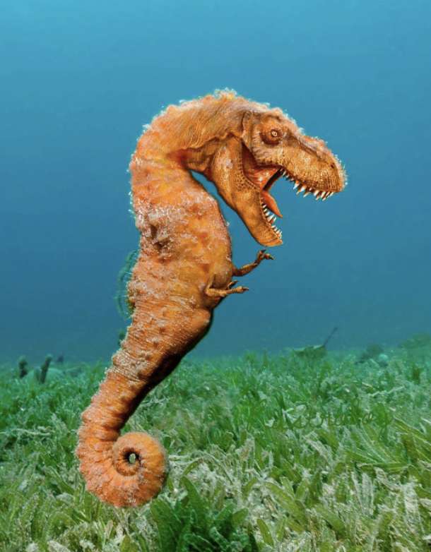 t rex mořský koník skládačky online