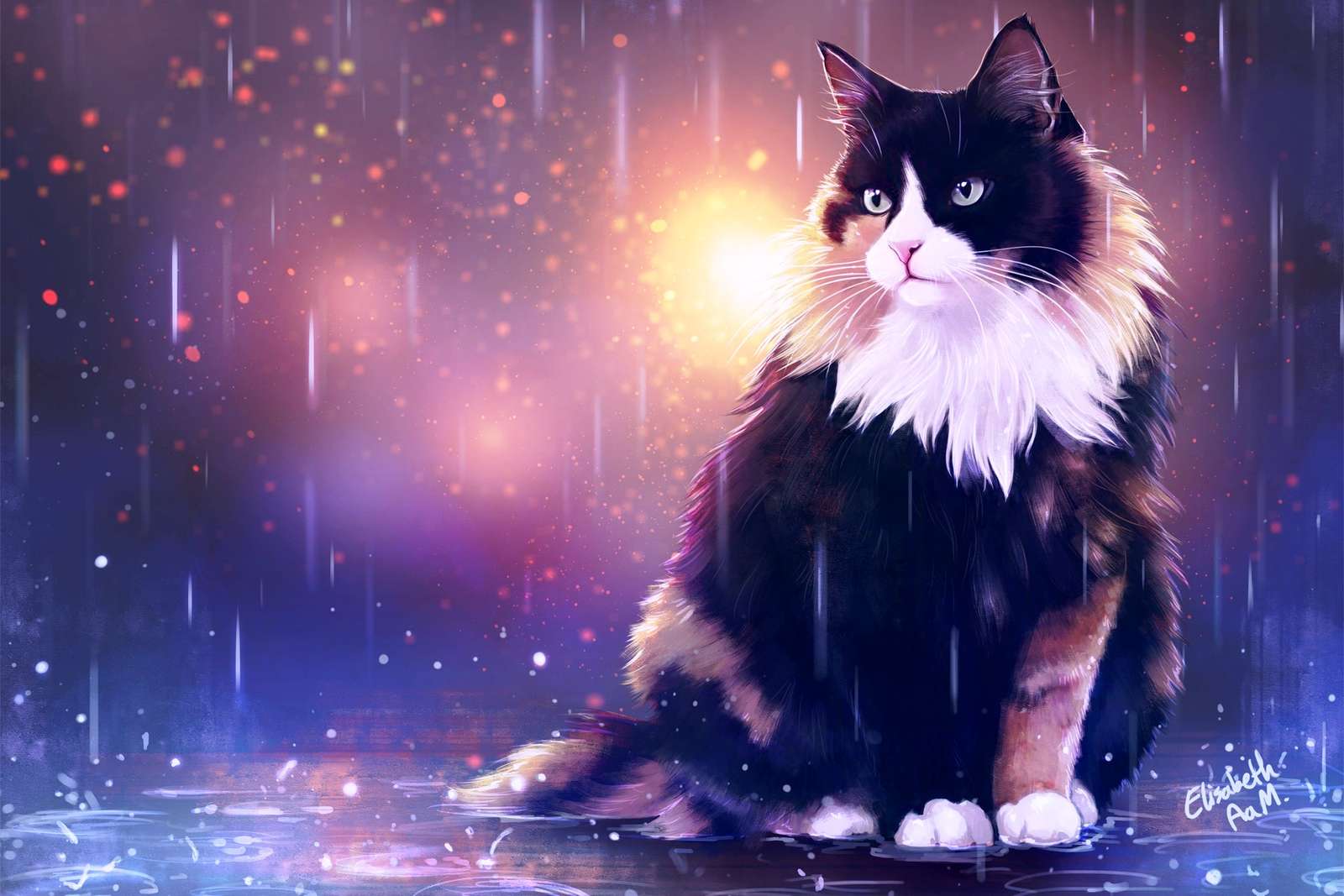 Katze im Regen Online-Puzzle