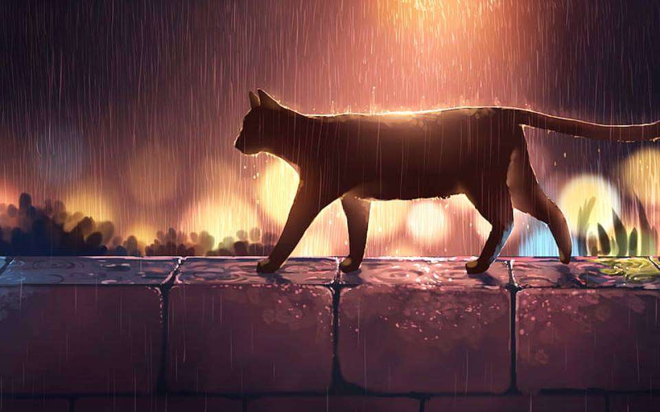 Katze im Regen Online-Puzzle