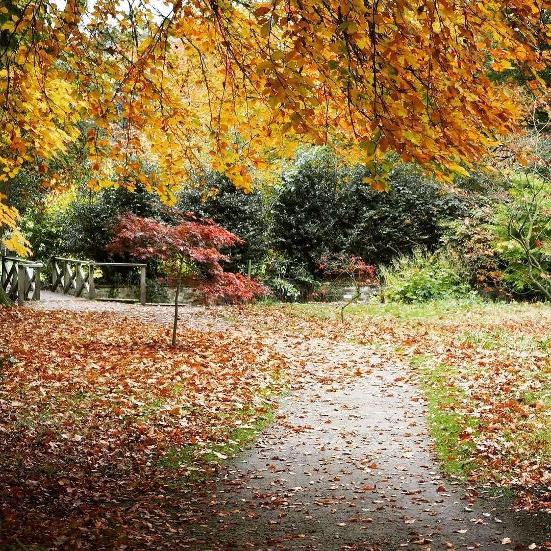 Podzim v parku skládačky online