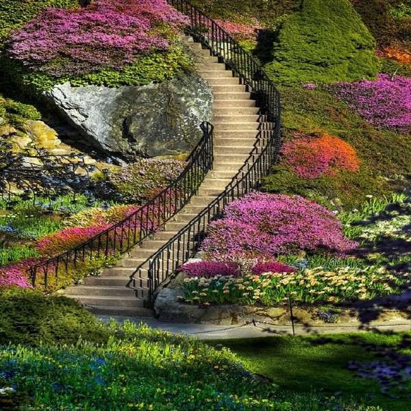 A park in flowers jigsaw puzzle online