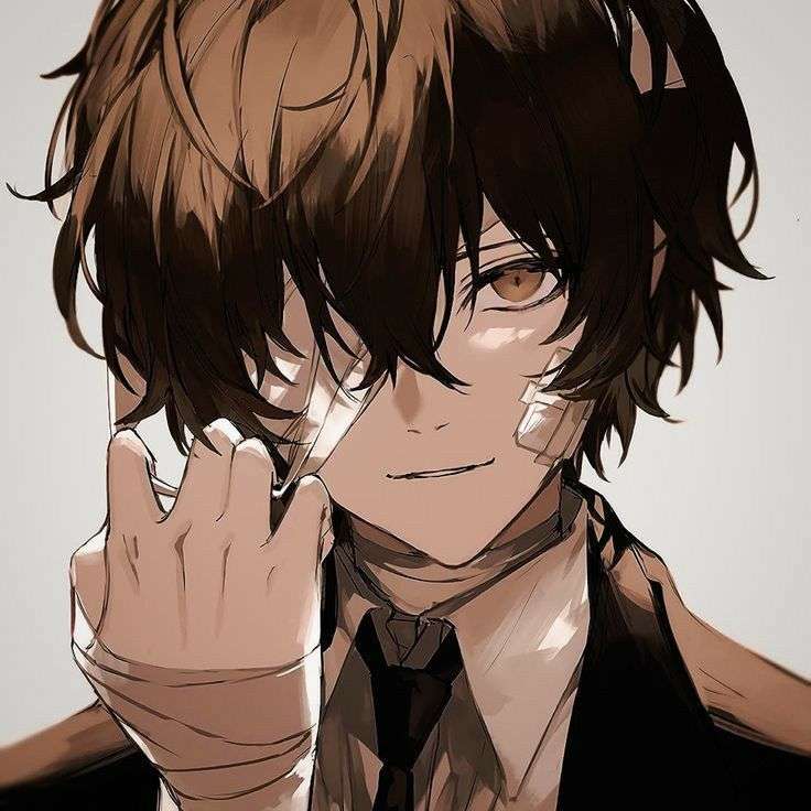 Perros callejeros Bungou Dazai rompecabezas en línea