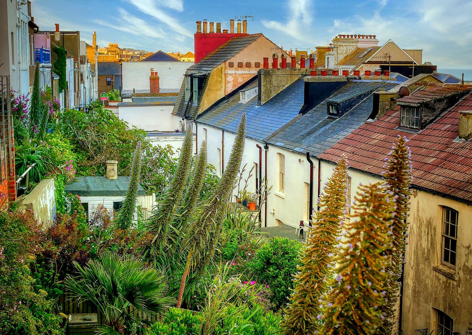 Jungle in the middle of the city (Hastings, England) online puzzle