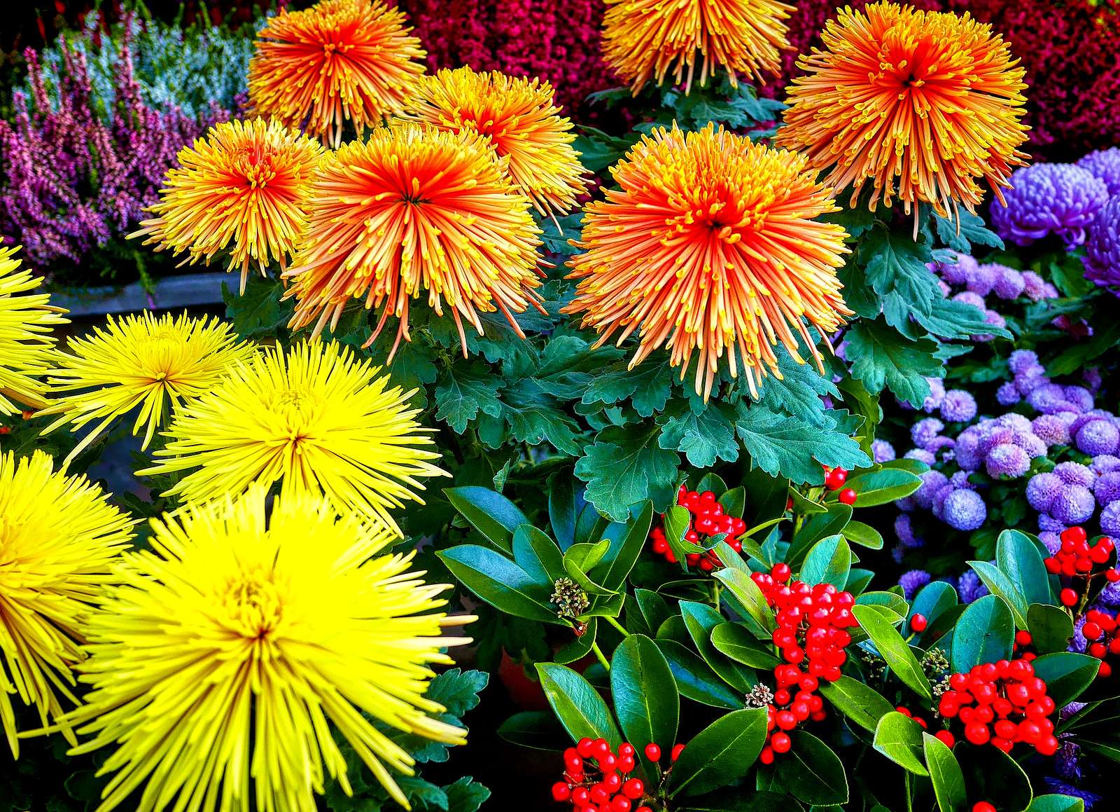 Exuberantes colores otoñales en el mercado de flores rompecabezas en línea
