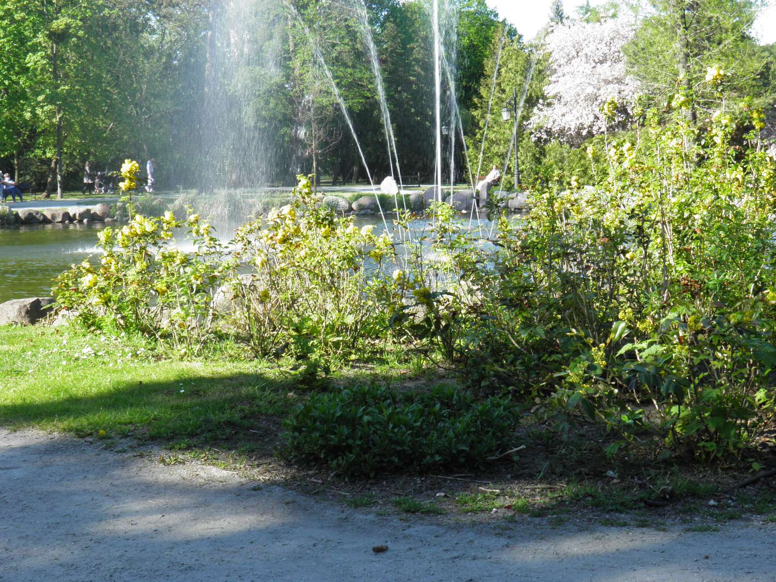 étang avec fontaine puzzle en ligne