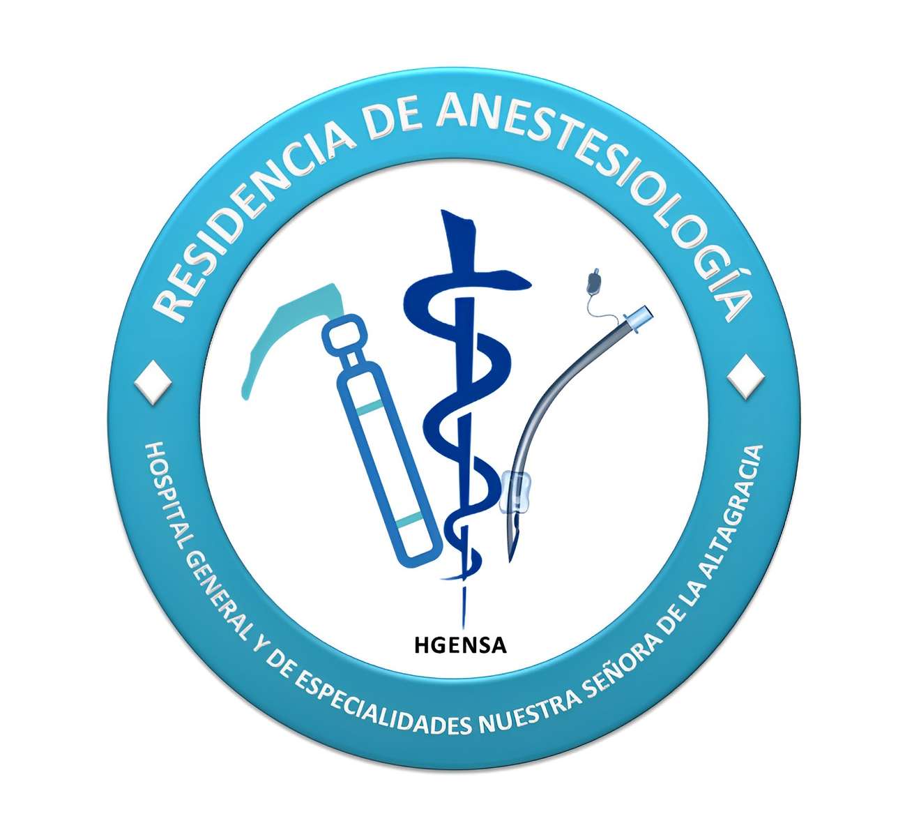 Residência em Anestesiologia e Reanimação puzzle online