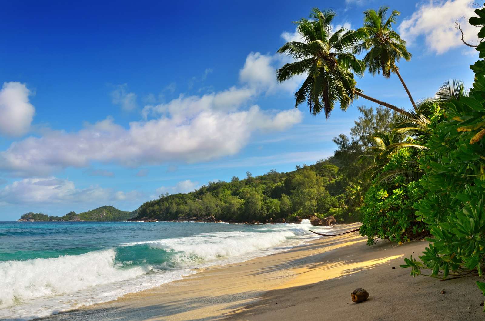 Пляжи на Сейшельских островах онлайн-пазл
