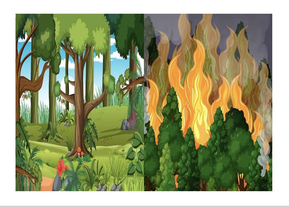 Bosques e incendios παζλ online