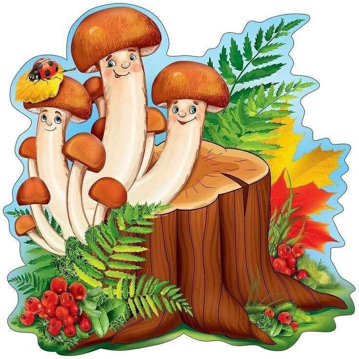 Funghi porcini puzzle online