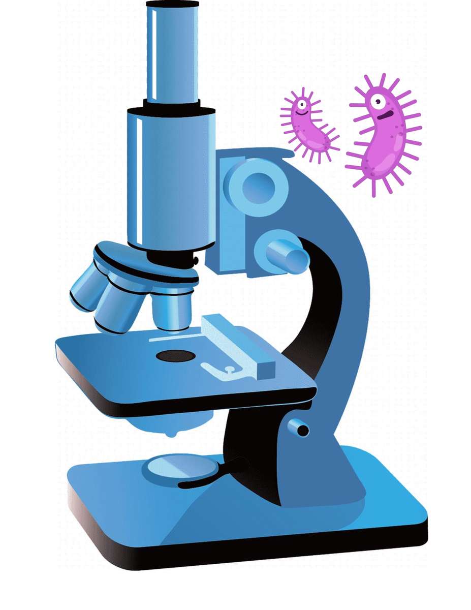 Microscopio rompecabezas en línea